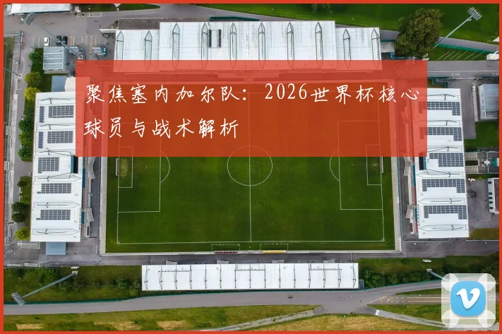聚焦塞内加尔队：2026世界杯核心球员与战术解析
