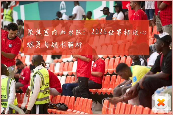 聚焦塞内加尔队：2026世界杯核心球员与战术解析