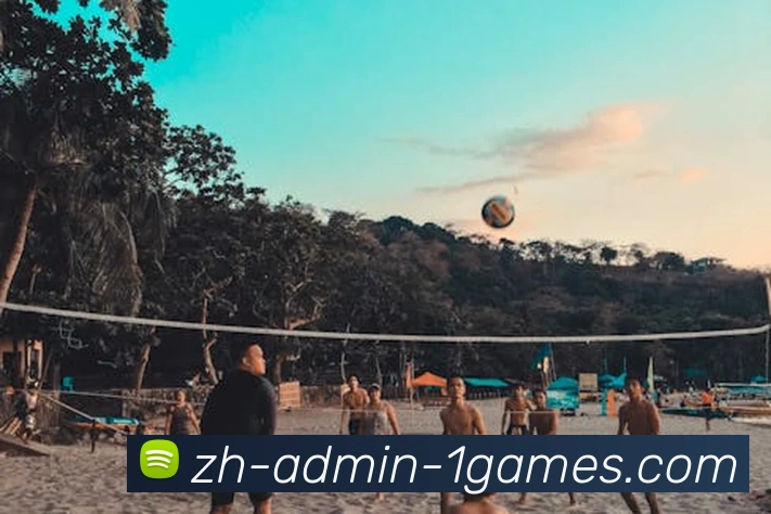 App Interface Preview